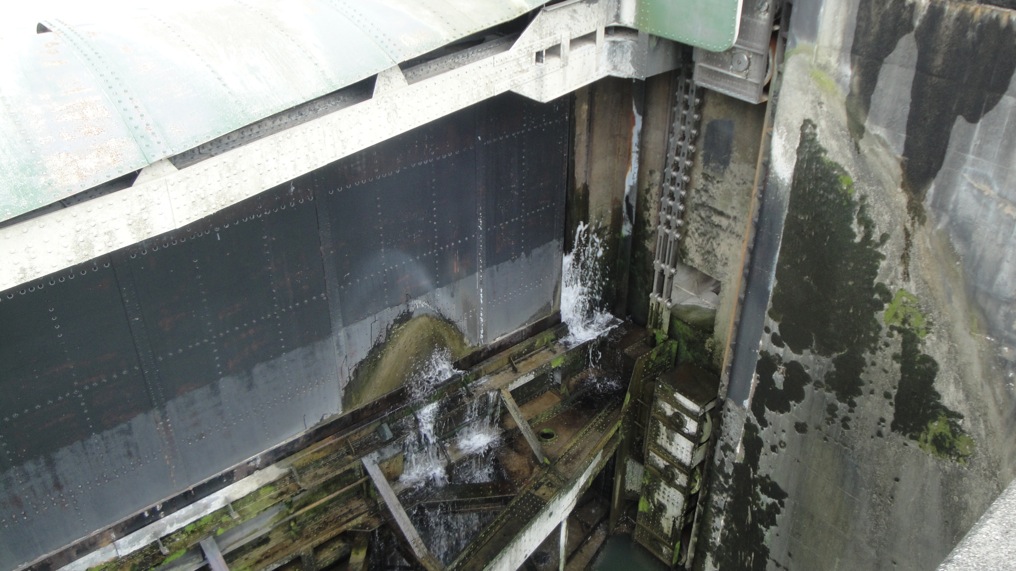 Loading Image
